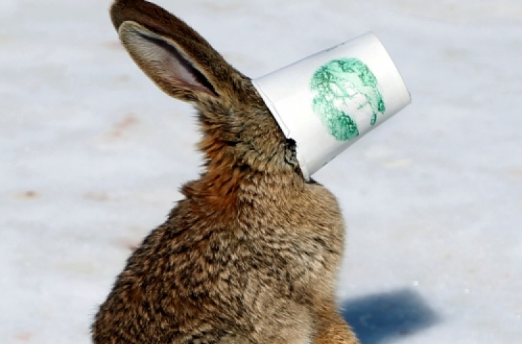 Rabbit gets stuck in cup