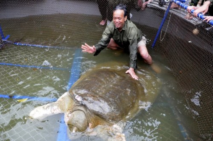 'Sacred' turtle captured in Vietnam lake