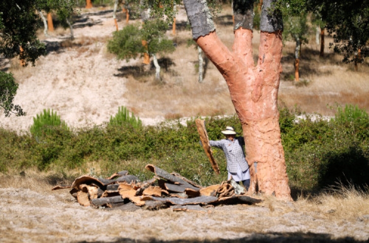 Portugal’s cork forests fight back in the War of the Stoppers