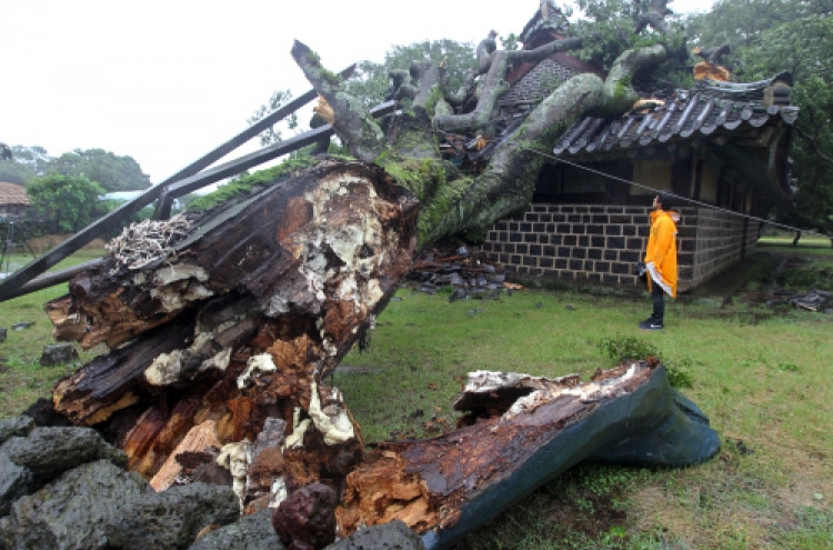 Typhoon Muifa pummels Jeju, hampers air, sea travel