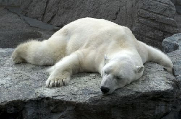 US report: Arctic much worse since 2006