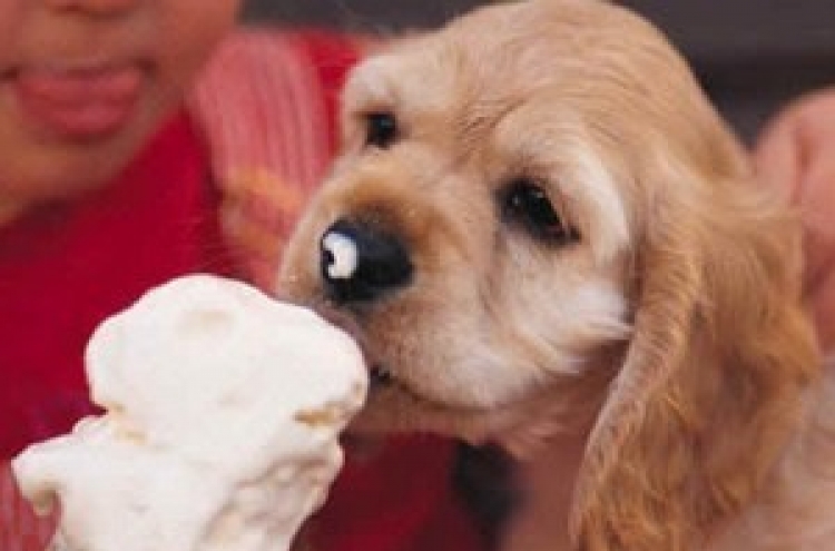 Italy introduces ice cream for dogs