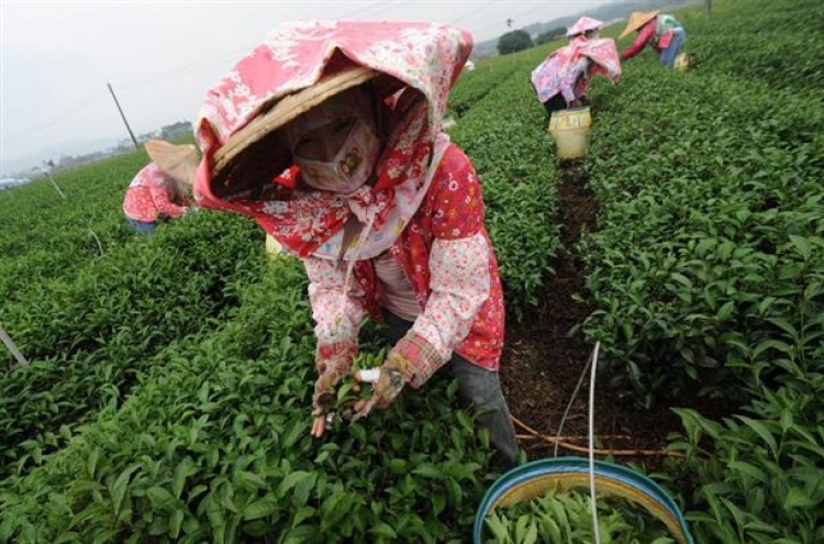 Taiwan tea all about passion and profit