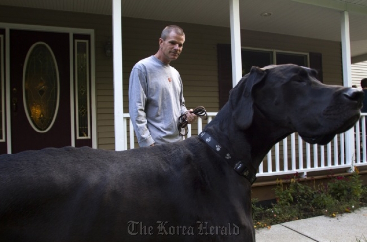 Great Dane from Michigan is world’s tallest dog