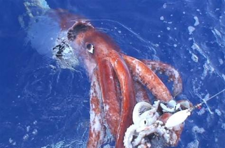 Giant squid filmed in Pacific depths: Japan scientists