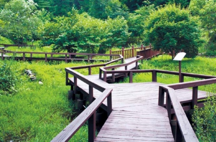 Taking a relaxing stroll through botanical gardens at Mount Yumyeongsan