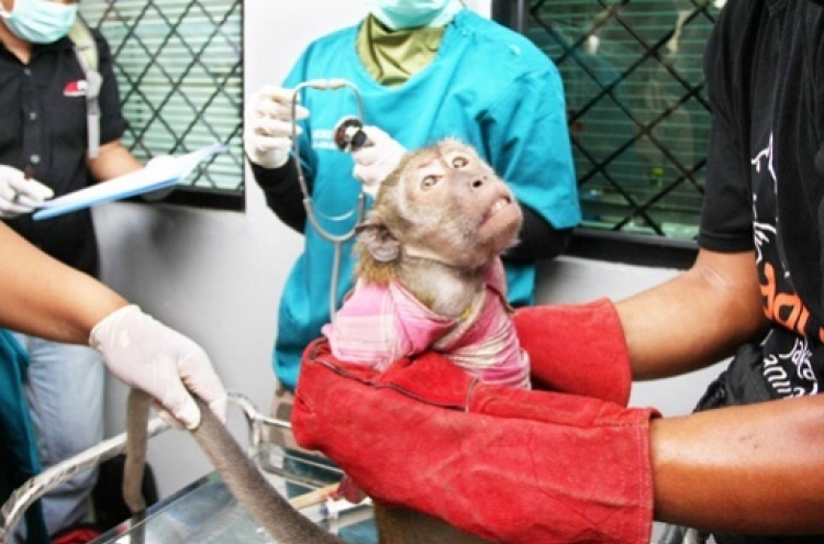 No monkey business in eradicating animal abuse