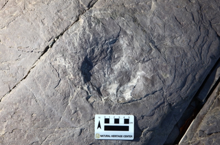 More than 80 dinosaur tracks found near Ulsan dam site