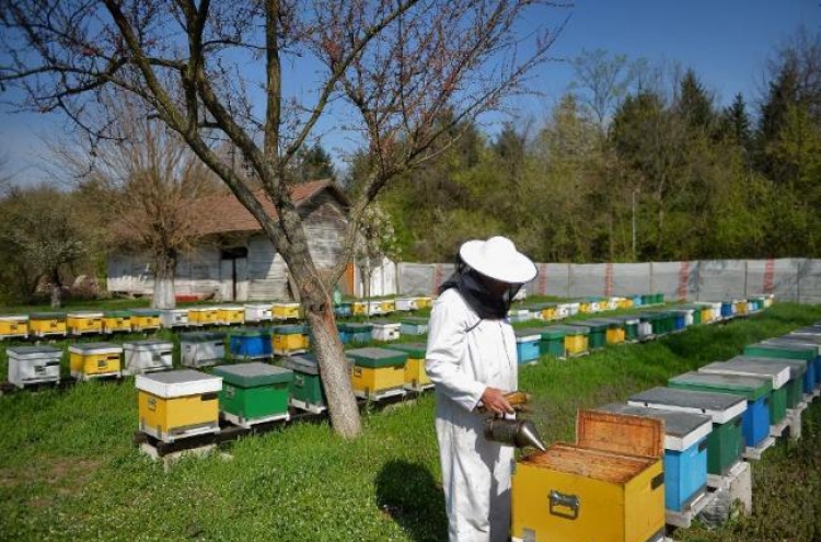 Romania keeps tradition of bee medicine alive