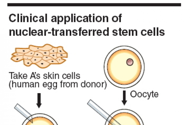 Stem cell research makes headway