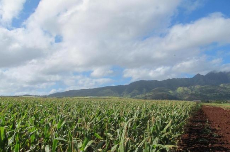 Hawaii becomes genetically engineered crop flash point