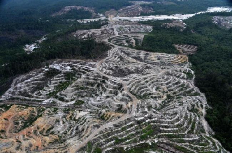 Satellite photos show Indonesia’s disastrous forest damage