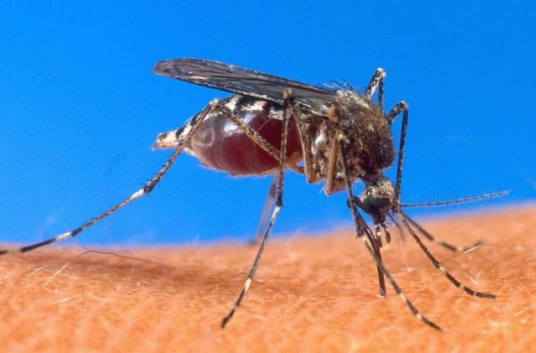 New test fast-tracks diagnosis for malaria
