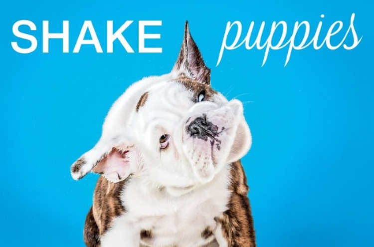 Puppies shake for memorable photos