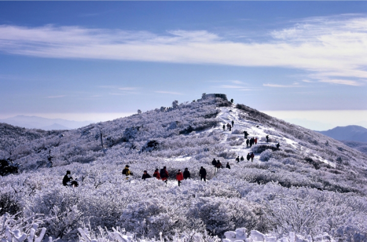 [Weekender] Head to Taebaeksan for frost, rime