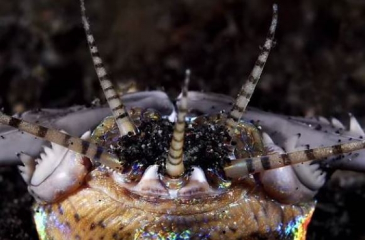 수컷 생식기 떼어가는 거대바다괴물