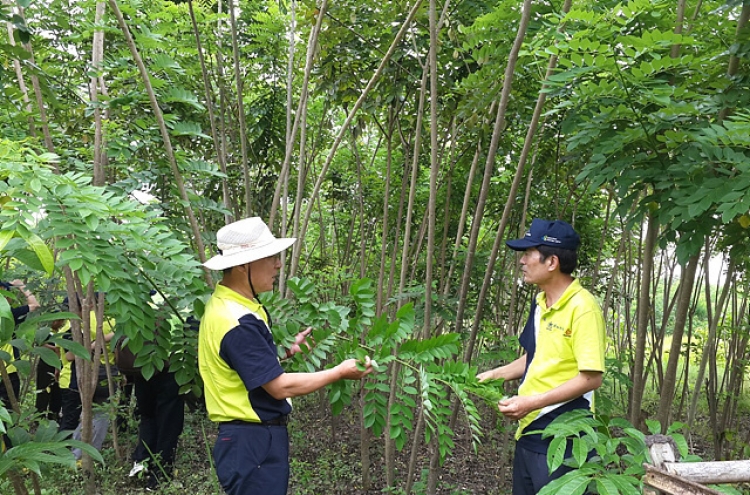 Korea, Indonesia strengthen cooperation in forest industry