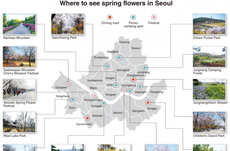 Enjoy spring in Seoul