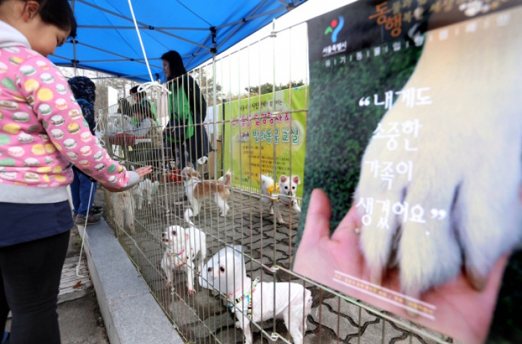 Korea’s pet culture evolves with more adoption, tailored care