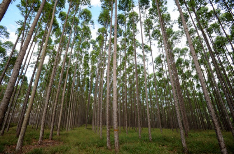 Korea‘s overseas afforestation makes progress