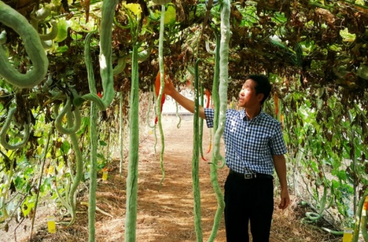 Korea preps for climate change with tropical fruits