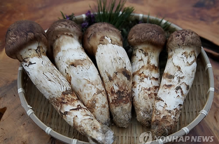 N. Korean 'songi' mushrooms distributed as Chinese ones in S. Korea: report