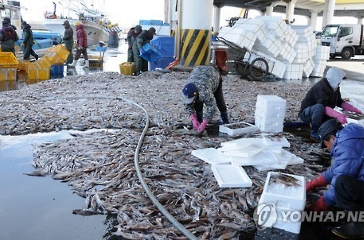 Chinese boats' overfishing dents squid haul in East Sea
