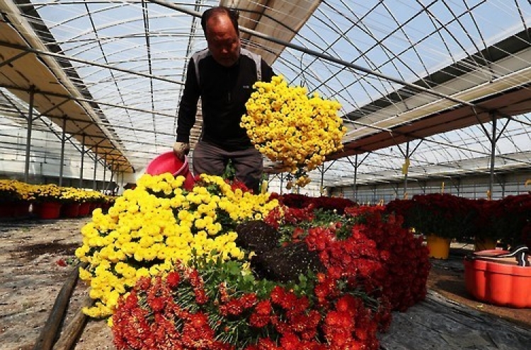 Anti-graft law hits flower sales hard