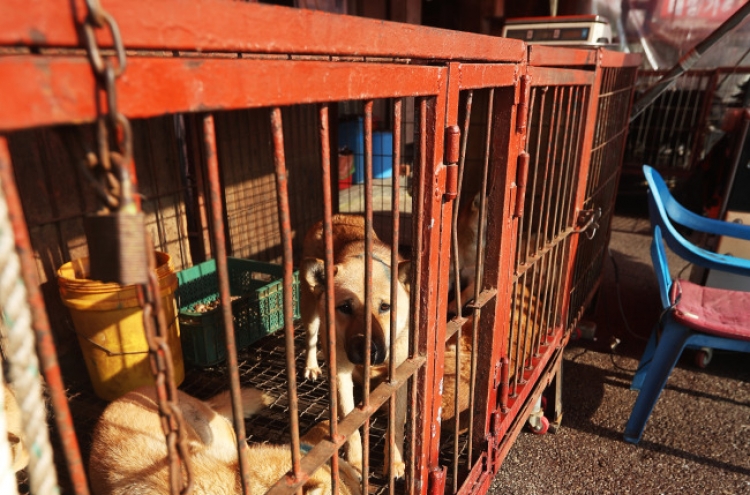 Illegal dog slaughter to be banned in Moran Market