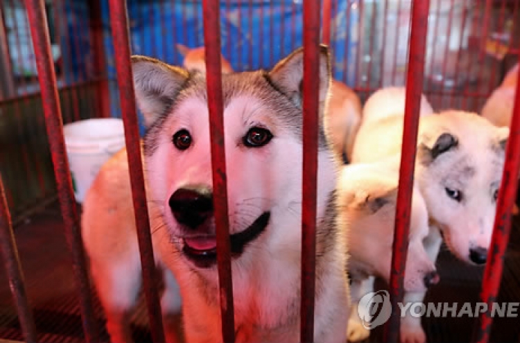 What will happen to the dog meat market in Busan?