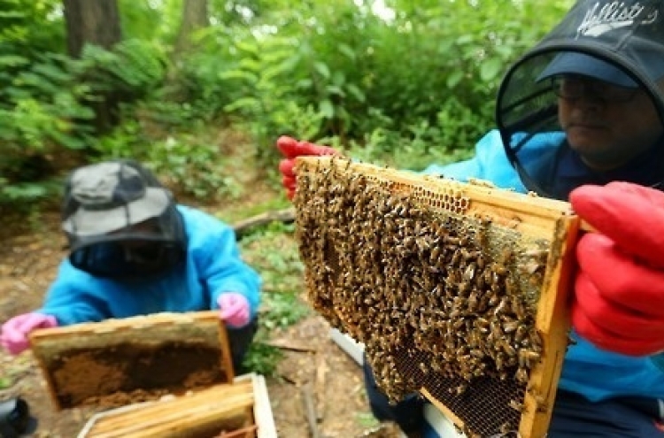 Beesen to export 300 bln won of bee venom mask packs to China