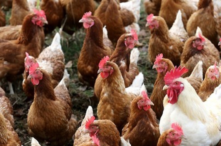 Highly pathogenic avian flu confirmed in Busan