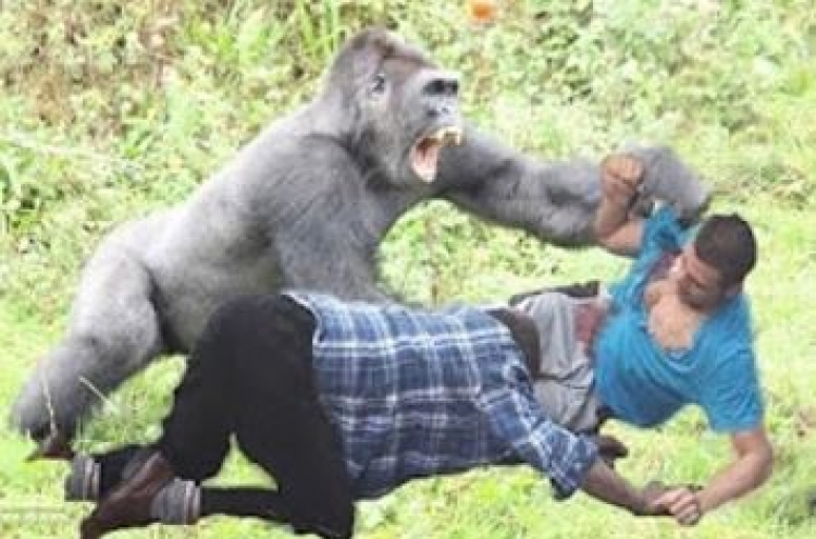 인간 vs 침팬지… 근육 대결 승자는?