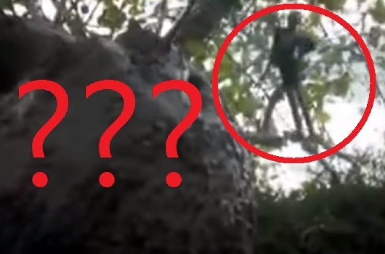 (영상) 숲 속 날아다니는 ‘괴생물체’ 발견
