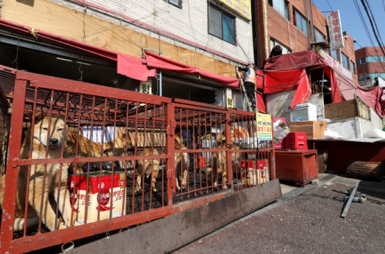 Animal rights group demands tougher stance on dog meat