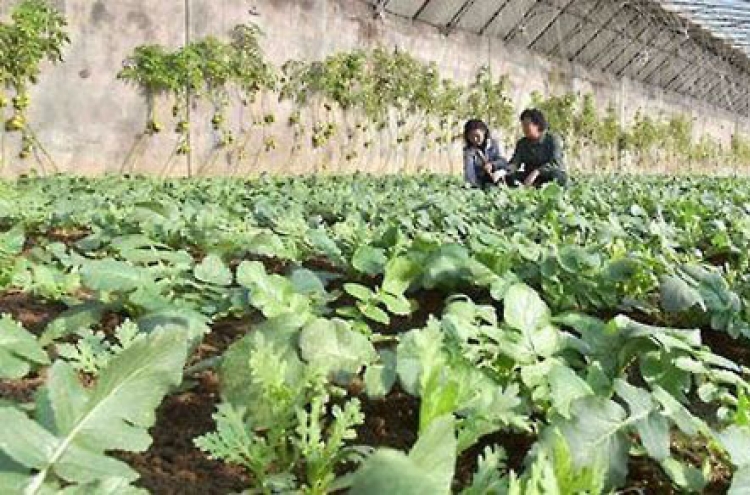 Caritas builds 10 greenhouses in North Korea: report