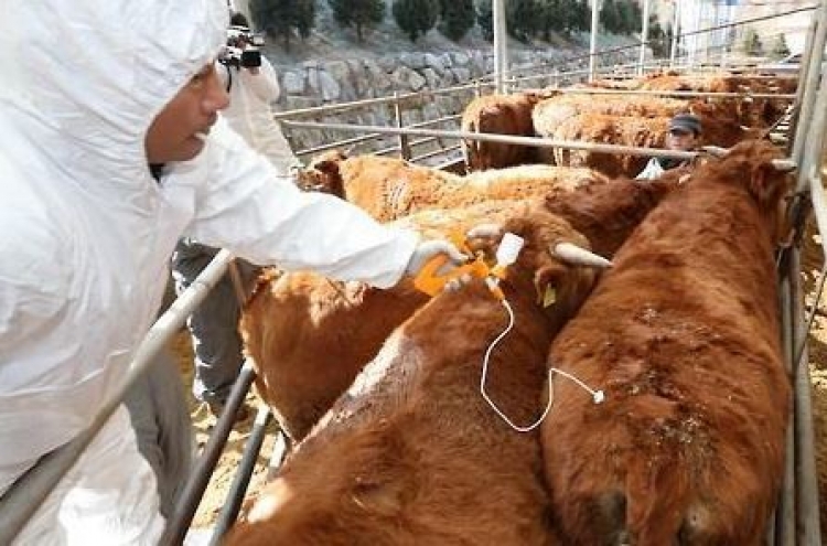 Korea's animal quarantine agency develops diagnosis kit for FMD