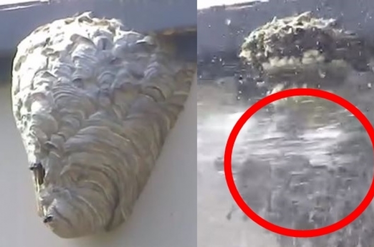 (영상) 고압 물줄기 분사… 벌집 ‘폭파’하며 나온 이것