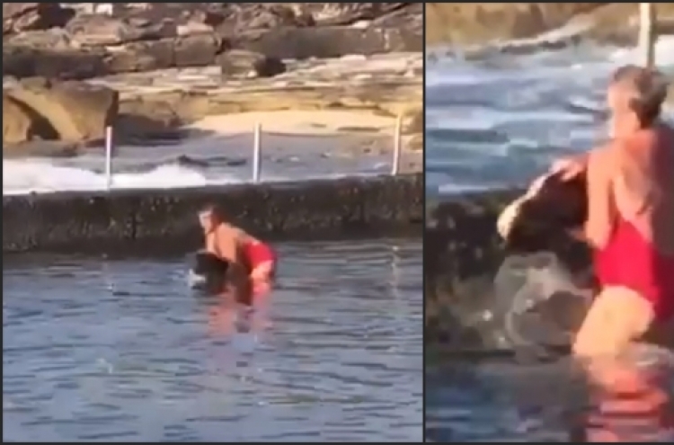(영상) 호주 여성, 야생 상어를 ‘쥐락펴락’