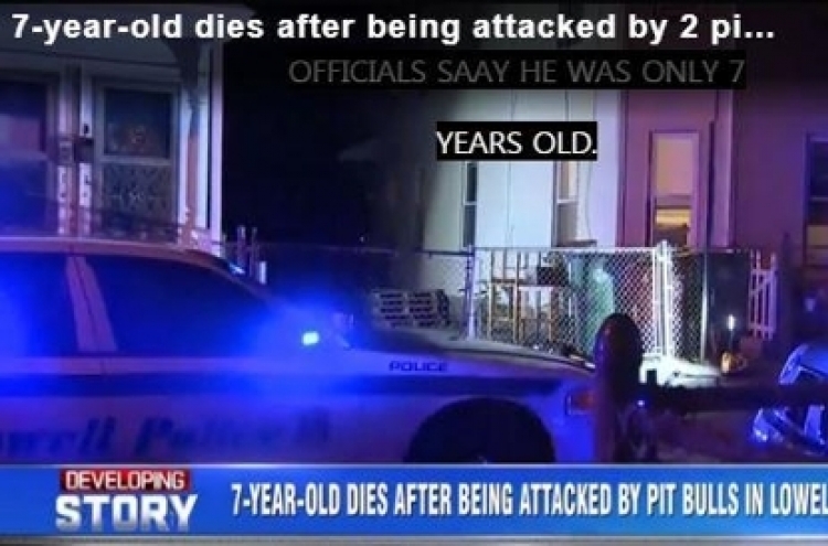 미국서도 맹견 사고…핏불테리어가 7세 소년 공격 사망