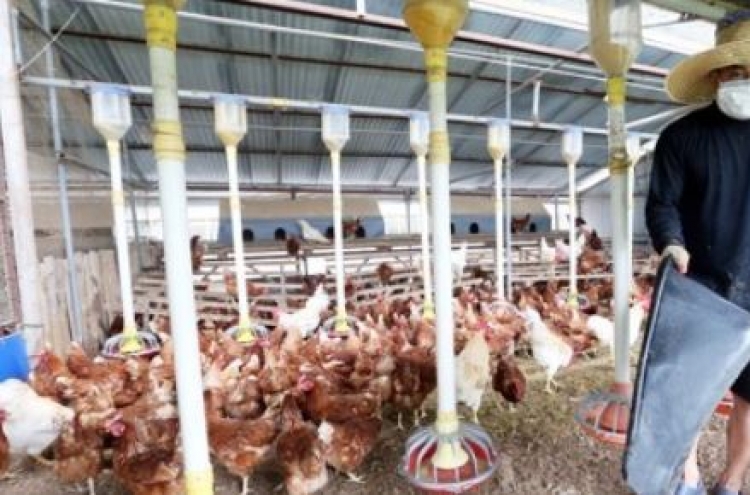 Vietnam lifts import ban on Korean poultry