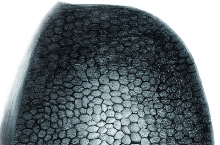 Largest-ever skin impression on dinosaur footprint found in S. Korea