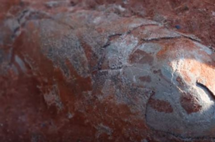 13억년 묵은 공룡알 화석 중국서 무더기 발견