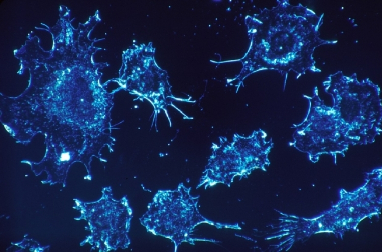Korean researchers find nanostructure that combats cancer