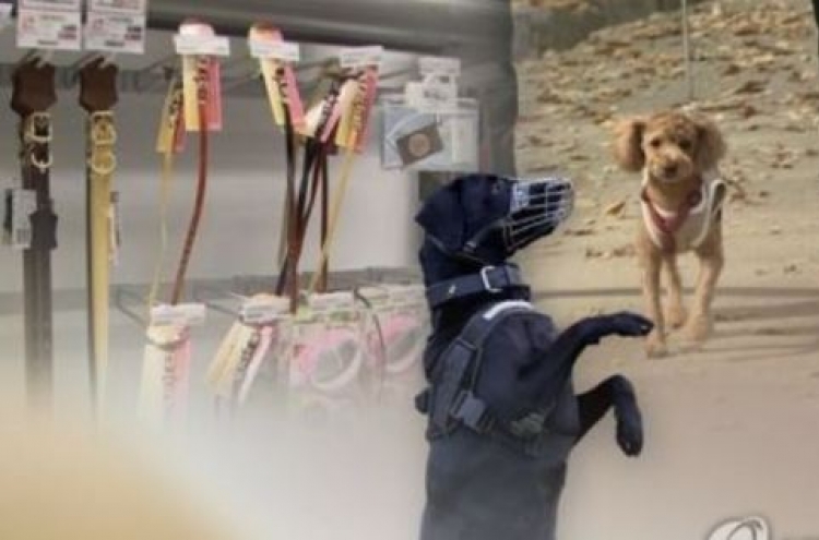 Korea set to implement tougher dog leash law