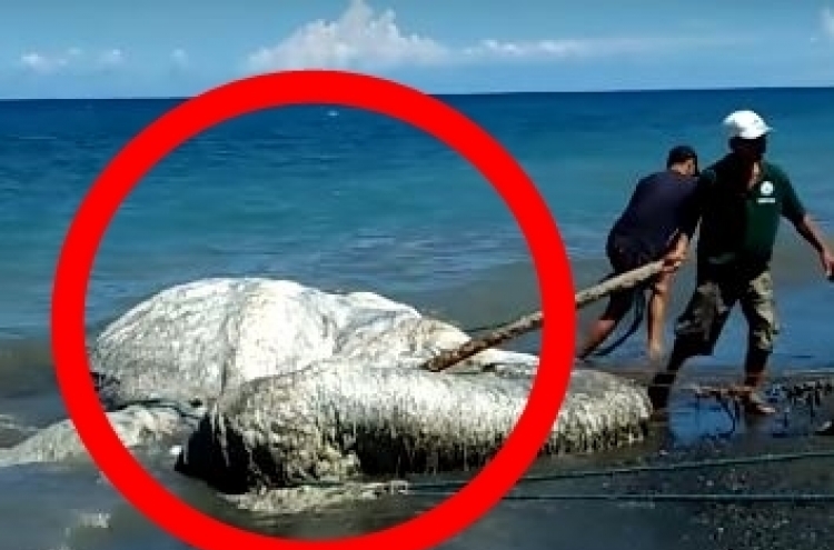 (영상) ‘거대’ 괴생명체 해안가에 등장… 미스터리