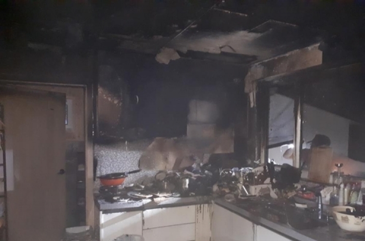 Cat blamed for fire at Jeju house