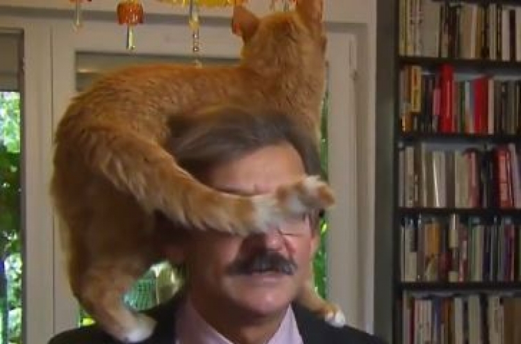 ‘방송사고’ 머리 위에 올라탄 고양이