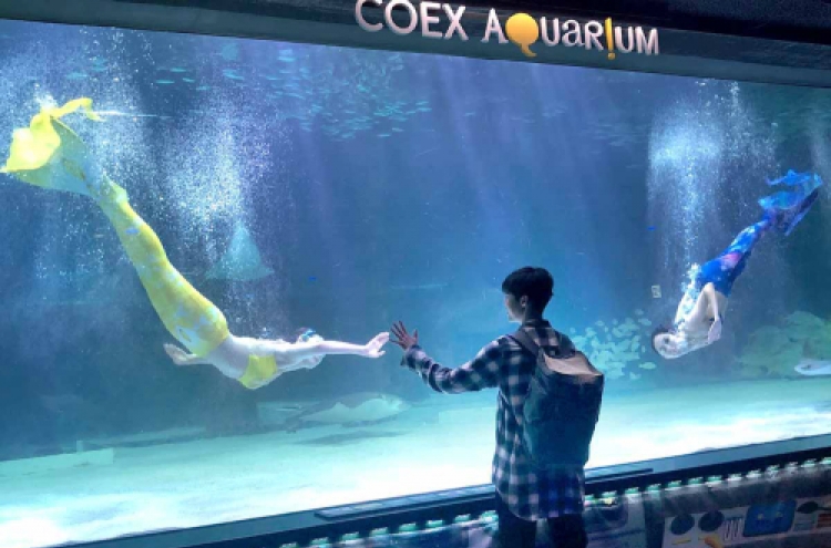 Coex Aquarium introduces summer performances and ‘healing time’