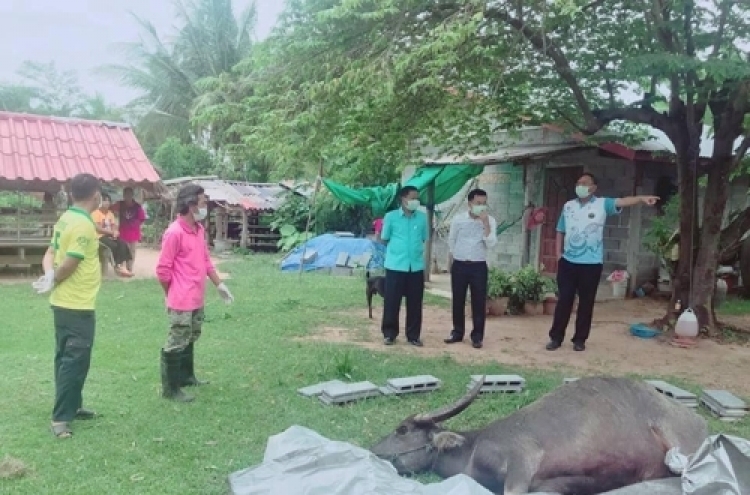 400명이 나눠먹은 소 알고보니 광견병…태국 동부 감염 공포